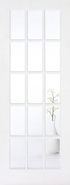 15 pane White Glazed Door